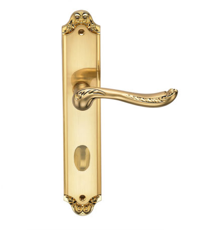 Ручка дверная Genesis ACANTO S. GOLD (CL) Ручка дверная Genesis ACANTO S. GOLD (CL)