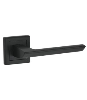 Петля дверная универсальная Adden Bau 100X70X2.5 4BB BLACK