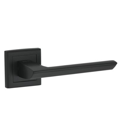 Петля дверная универсальная Adden Bau 100X70X2.5 4BB BLACK
