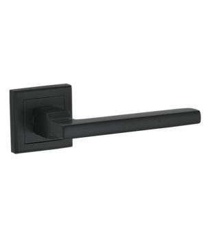 Петля дверная универсальная Adden Bau 100X70X2.5 4BB BLACK