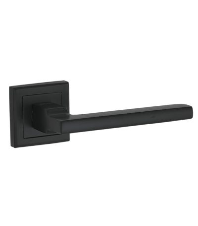 Петля дверная универсальная Adden Bau 100X70X2.5 4BB BLACK