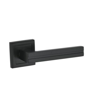 Петля дверная универсальная Adden Bau 100X70X2.5 4BB BLACK